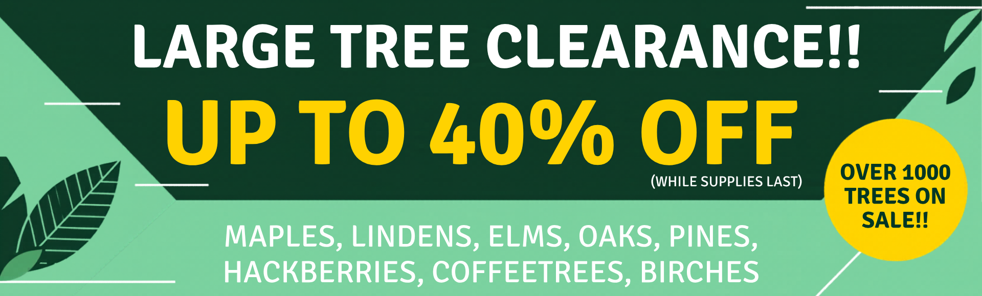 Large Tree Clearance sale at Kahnke's Tree Farm