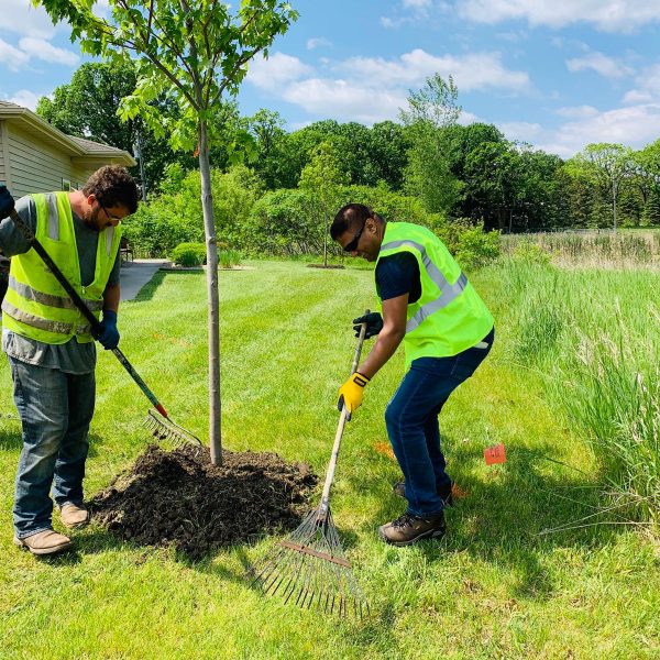 Kahnke's Tree Farm team member at work