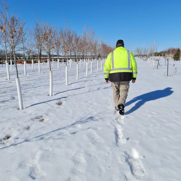 Kahnke's Tree Farm team member at work